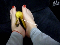 ���ƽ�VIP��Ա��ѡ�����ֵѧ�����Ŵ���������ϼ����19�������߿�