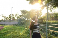 06��ѧ��У԰Ů��-����ϵ��ͼ����6����101P��