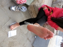 KTS052ԭ����ڨѧ��������ϵ�С�219P��